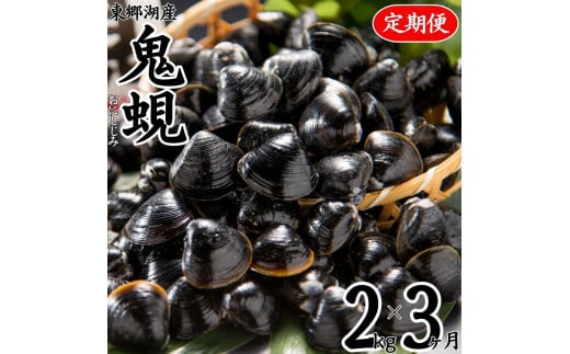 59M.東郷湖産鬼蜆〔おにしじみ〕2kg〔3カ月定期便〕