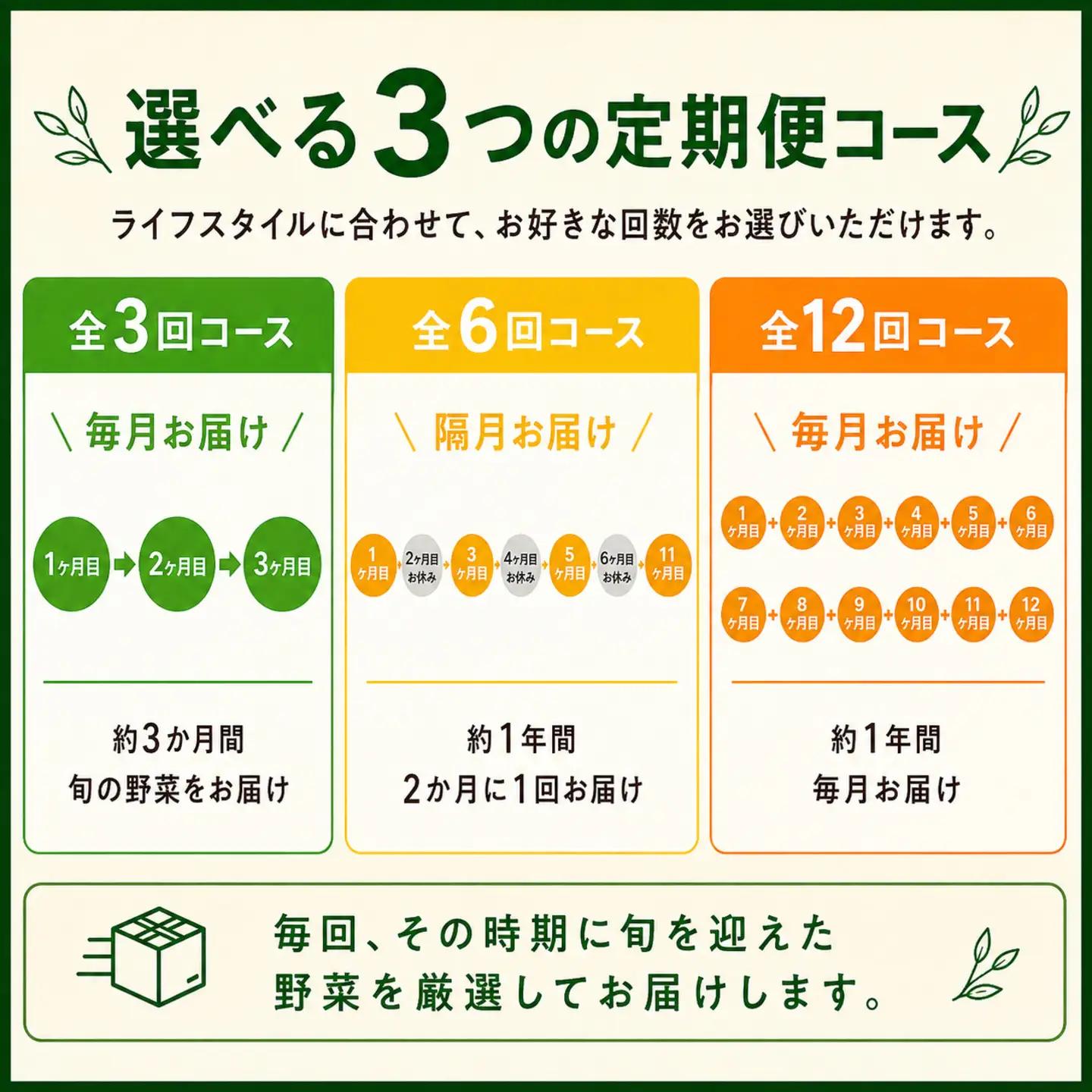 定期便 旬野菜セット 全3回 毎月