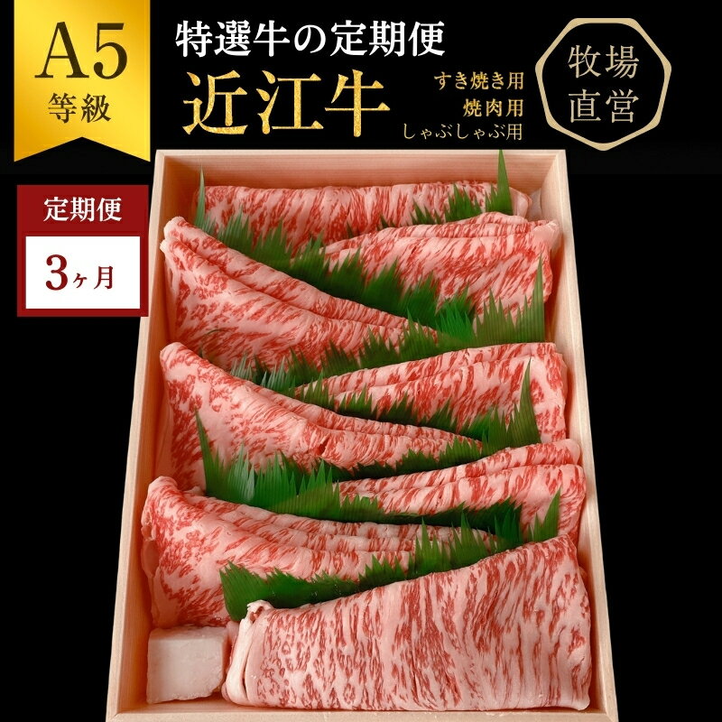 【ふるさと納税】【近江牛　西川畜産】【3か月定期便】近江牛A5ランク雌牛　特選牛の定期便　お届け：2025年11月下旬まで