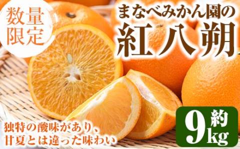 ＜2025年2月上旬以降発送予定＞まなべみかん園の紅八朔(約9kg)国産 柑橘類 みかん ミカン 蜜柑 果物 フルーツ【有限会社まなべみかん園】a-14-11-z