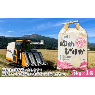 ふるさと納税 伊達市 【令和7年産】10月15日発送開始　北海道伊達市産 ゆめぴりか 5kg 精米 |  | 01