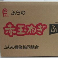 【ふるさと納税】赤玉葱　L大　10kg