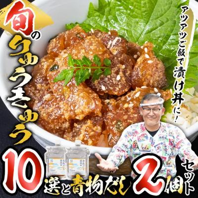 ふるさと納税 佐伯市 大将の今日のおすすめ!「旬の鮮魚りゅうきゅう10選と青物だし2個セット」