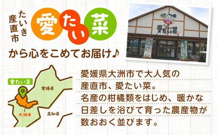＼レビューキャンペーン中／【全6回定期便】産地直送！鮮度抜群！旬を味わう新鮮野菜と果物の詰め合わせセレクションボックス（6種以上）　愛媛県大洲市/たいき産直市愛たい菜[AGAP016]野菜果物フルーツ