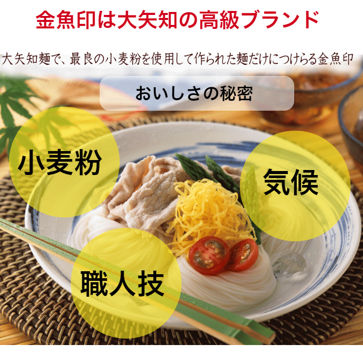 TV番組「マツコ＆有吉 かりそめ天国」紹介店　冷や麦＆そうめん詰め合わせセット【冷や麦9束＆そうめん10束】渡辺手延製麵所／王道の名産品　四日市　おおやち　大矢知伝承の味　清流　ミネラル　職人技　高級