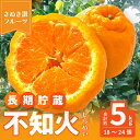 【ふるさと納税】先行予約 不知火 交配 数量 限定 約5kg 18～24 個 清見 中野3号 省加温栽培 柑橘 甘い ジューシー 讃岐 フルーツ 王国 長期貯蔵 高品質 厳選 逸品 冷蔵 老舗 造田商店 香川県 三豊市 送料無料 22000円