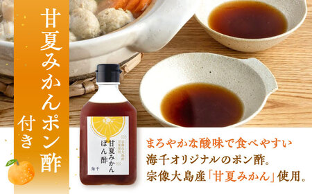 むなかた鶏使用　水炊き2人前 桂川町/株式会社海千[ADAR027]