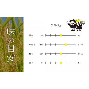 【2026年分先行予約】宮城県角田市産米【令和8年産】つや姫 5kg×1【2026年10月中旬より順次発送】｜ 新 コメ 白 精 クリエイター つや姫 