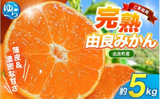 
                  薄皮で濃い甘さ！完熟由良みかん【ご家庭用】5kg（混サイズ）和歌山県由良産【ktym004-c-5A】
                