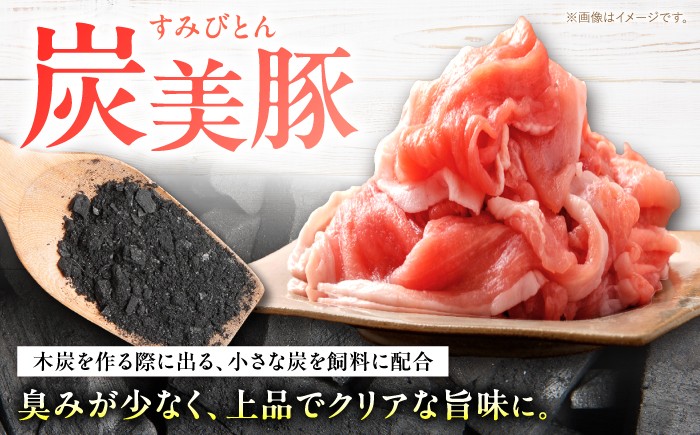 国産豚 切り落とし 1kg (500g×2パック) 小分け