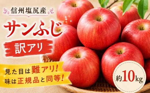 【2026年先行予約】信州塩尻産 サンふじ 訳アリ 約10kg ｜ 先行受付 果物 くだもの フルーツ サンふじ りんご 赤 林檎 訳アリ 訳あり 格安 お得 信州 長野県 塩尻市