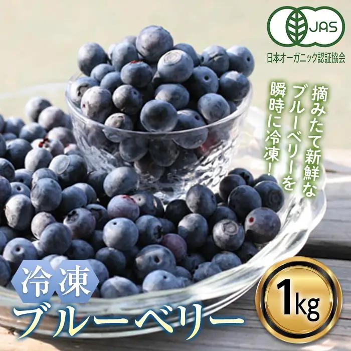 ＜有機JAS認定＞ 冷凍ブルーベリー (1kg) ブルーベリー JAS認定 農薬不使用 有機栽培 冷凍 フルーツベリー くだもの 果物 食品 F20E-848