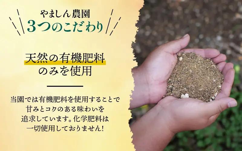 有田 みかん 訳あり 4kg 光センサー 選別 / 温州みかん 有田みかん 甘い 家庭用 和歌山 柑橘 ※2026年12月順次発送 ※北海道・沖縄・離島への配送不可 【nuk004-c-4-decH】