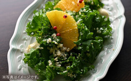 【波佐見焼】ombre de fleur オリーブオーバル palette green 2枚セット【翔芳窯】[FE490]