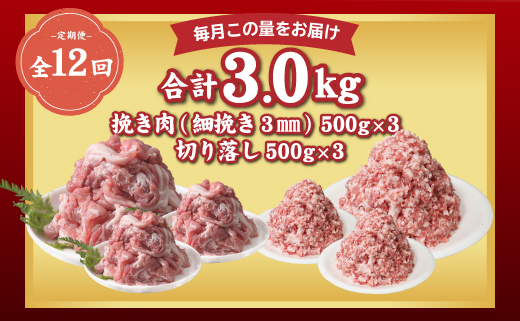 ＜定期便＞12回プラン 【幻の銘柄豚】 富士湧水ポーク 毎月美味しいお肉が届く！ 切り落とし1.5kg+挽肉1.5kg（保存に便利な真空パック） 肉　豚肉　豚　ポーク　湧水ポーク　豚こま　豚小間　豚ひ