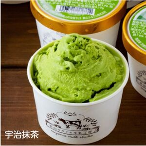 ジェラート 10個 美山産 ジェラート