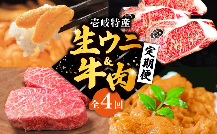 ステーキ 人気 和牛  壱岐牛 希少 柔らかい やわらかい 贈り物 ギフト  高