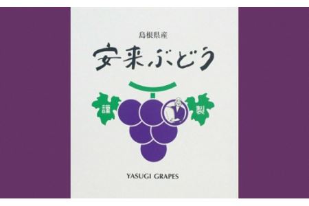 【先行受付】 2色詰め安来ぶどう詰合せ 約1.4kg【2～3房 ピオーネ 巨峰 クインニーナ 安芸クイーン シャインマスカット 瀬戸ジャイアンツ 2種 お任せ 旬 詰め合わせ 先行 予約 冷蔵配送 フ