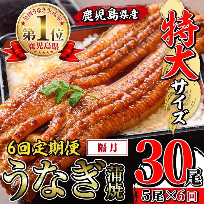 【6回定期便(隔月)】鹿児島県産 うなぎ蒲焼 特大 サイズ 5尾セット ＜（約220g×5・計約1100g）×全6回＞  【薩摩川内鰻】 i1177-B