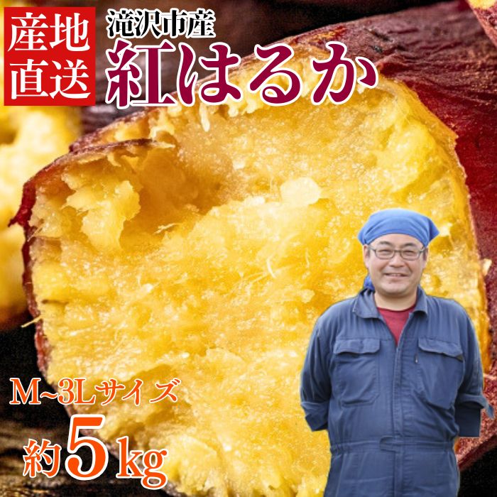 【ふるさと納税】 さつまいも 紅はるか 5kg サイズ おすすめ おまかせ 5キロ サツマイモ さつま芋 薩摩芋 スイートポテト 焼き芋 てんぷら 秋 煮物 大学芋 干し芋 きんとん 食物繊維 おやつ デザート 甘い あまい もっちり 産地直送 岩手県 滝沢市 送料無料 駿河農園ベジスル