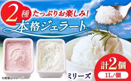 【松本牧場】本格ジェラート ファミリーセット（1L×2個） / 佐賀県 /松本アイス工房（株式会社Hamanda Dairy Farm）  [41AOAA005]