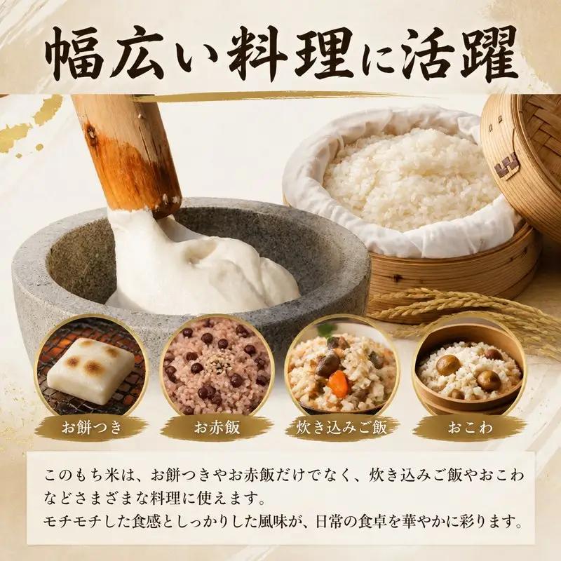 もち米 5kg 令和7年産 【 もち米 】