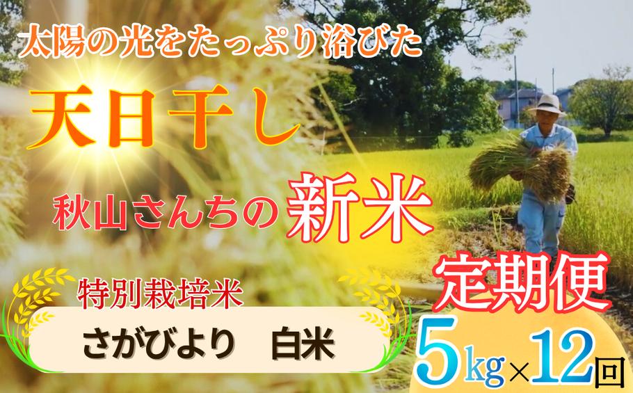 
                  【定期便】 全12回【2026年度】秋山さんの新米 さがびより 【白米】5kg x12回
                