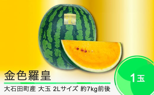 先行予約 すいか 大玉 金色羅皇 2Lサイズ×1玉 2025年産 令和7年産 山形県産 大石田町産 8月上旬から順次発送 mn-sukrx2