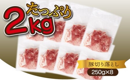 ＜2025年11月発送分＞宮崎県産 豚肉切り落とし 250g×8パック 合計2kg