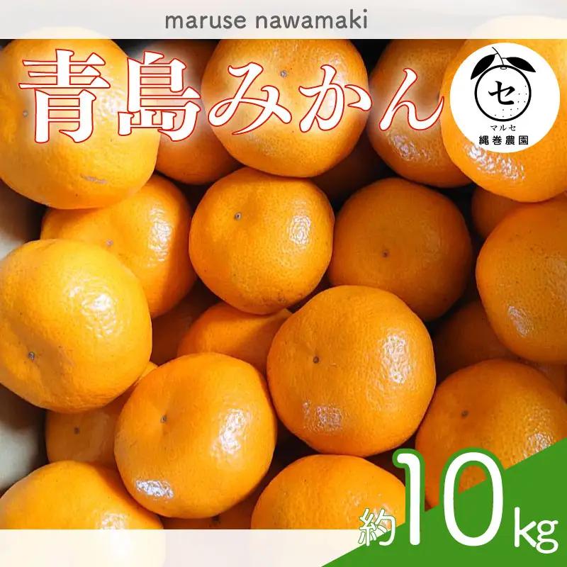 【期間限定発送】青島みかん 約 10kg  みかん オレンジ