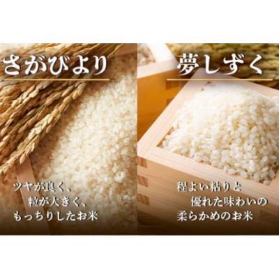 ふるさと納税 鹿島市 令和7年度産 鹿島市産 [さがびよりor夢しずく] 5kg 1袋 【品種指定不可】精米済　白米 |  | 01
