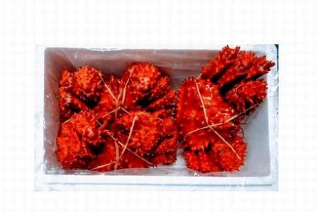 【北海道根室産】花咲ガニ410～500g×3尾 B-57017【12月20日決済分まで年内配送】