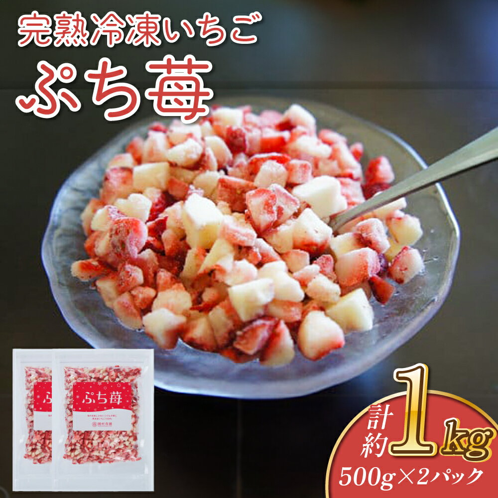【ふるさと納税】完熟 冷凍 いちご ぷち苺 500g×2パック 合計1kg 園村苺園 イチゴ 苺 さちのか フルーツ 果物 デザート パック 急速冷凍 贈答品 贈り物 のし対応 国産 九州産 熊本県産 宇城市産 送料無料