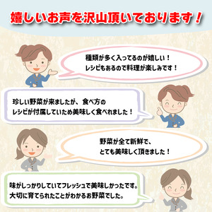 【 野菜 】 野菜定期便6回