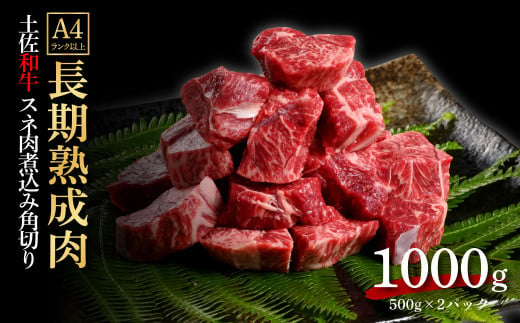 TKA217　天下味 エイジング工法 熟成肉 土佐和牛 特選スネ肉 煮込み角切り 500g×2 合計1kg エイジングビーフ スネ肉 国産 肉 牛肉 和牛 人気 老舗焼肉店 冷凍 新鮮 真空パック 高