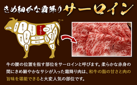 A5等級の博多和牛が届きます！ 博多和牛サーロインしゃぶしゃぶ用500g《30日以内に出荷予定(土日祝除く)》博多和牛  肉の筑前屋 牛肉 サーロイン しゃぶしゃぶ