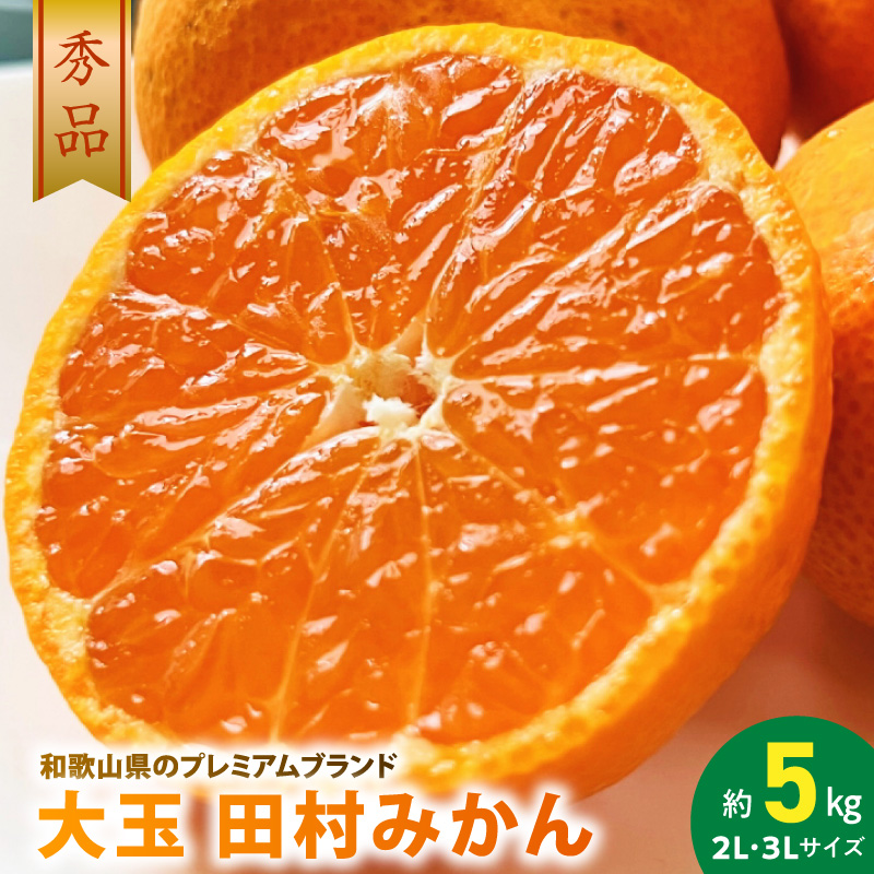 【2026年先行予約】大玉田村みかん 2L・3Lサイズ 秀品 約5kg _ 和歌山プレミアムブランドみかん  大粒有 大きい 蜜柑 ミカン フルーツ 果物 ギフト お歳暮_AB7303