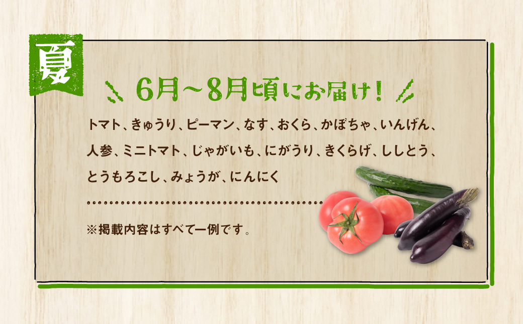 【12ヵ月定期便】八代市産！旬の農産物詰合せ 復興 福袋 7品以上