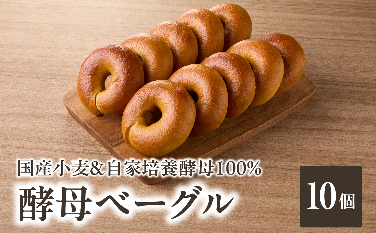 
国産小麦＆自家培養酵母100％　酵母ベーグル10個 ベーグルセット プレーン ベーグルパン パンベーグル もちもち ふわふわ 食べ応え 天然素材 おやつ 朝食 ベーグル 酵母 ベーグル 冷凍【065-09】
