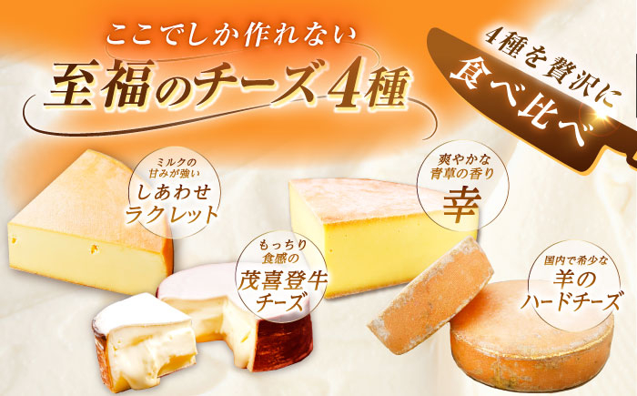 定期便 チーズ ナチュラルチーズ ラクレット 乳製品 おつまみ ギフト 北海道