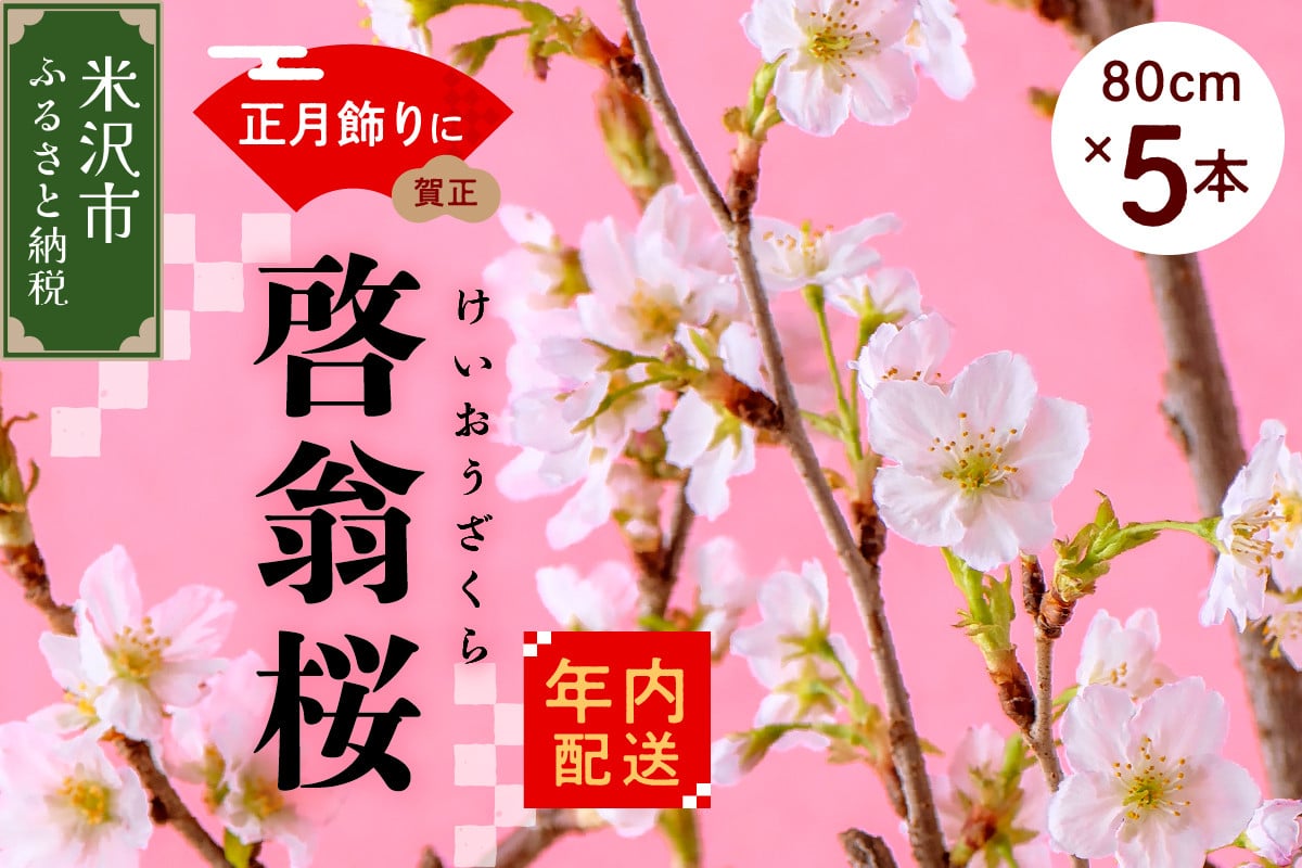 
《 先行予約 》 【 年内発送 / 数量限定 】 啓翁桜 ( けいおうざくら ) 80cm × 5本 花 生花 枝花
