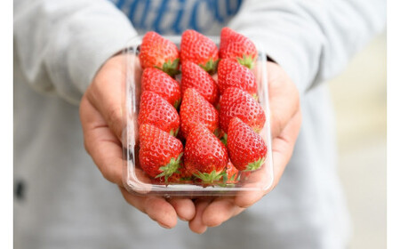 手作りジャム ～いちご農家さんからの直送品～ | 茨城県 常陸太田市 いちご 苺 完熟いちご 果肉 フルーツ ジャム ホームメイド 手作り 自家製 おすすめ おいしい 甘い パン ヨーグルト 朝食 お