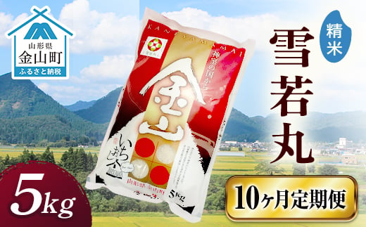 
令和6年産 金山産米「雪若丸【精米】」（5kg）×10ヶ月・定期便 計50kg 定期便 10ヶ月 米 お米 白米 ご飯 精米 ブランド米 雪若丸 送料無料 東北 山形 金山町 F4B-0555
