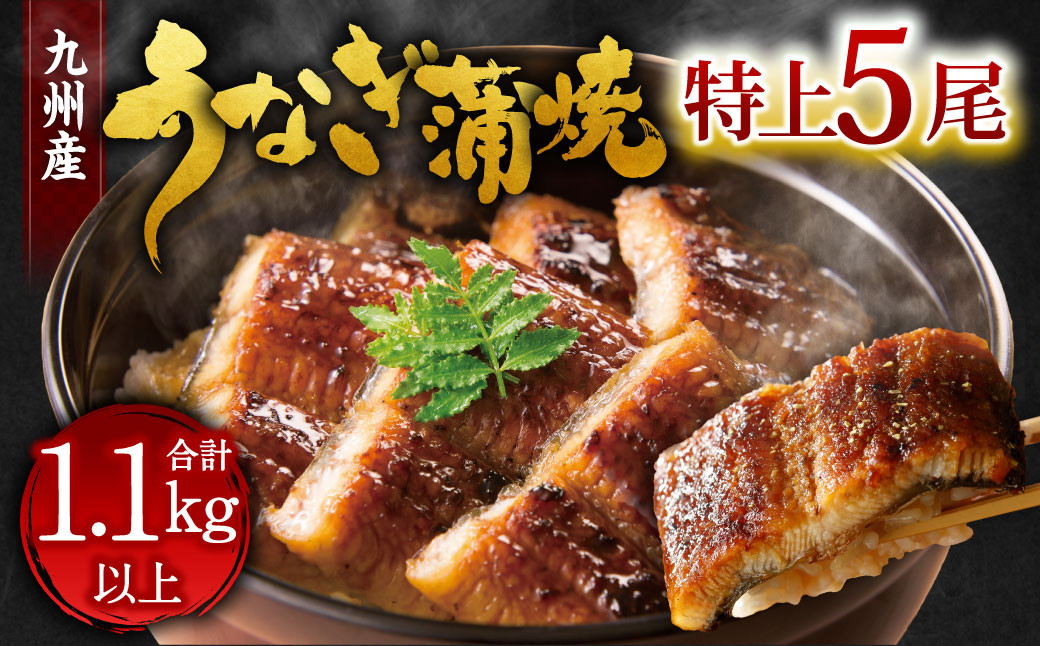 
            九州産 うなぎ 蒲焼 特上 5尾 計1.1kg以上 (1尾あたり220～235g)
          