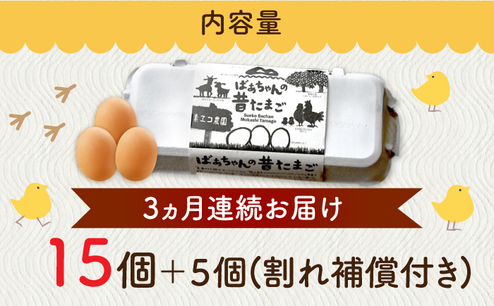 【全3回定期便】ばあちゃんの昔たまご 計60個（15個+5個×3回（割れ補償付き）） / 平飼い卵 / 佐賀県 / 素ヱコ農園 [41AEAA004]