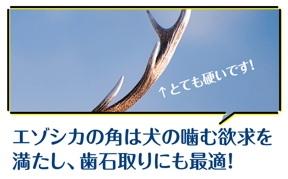 犬 おもちゃ おやつ 無添加 国産 エゾ鹿 鹿角 (200g～300g) 【premium北海道うまいもん屋】