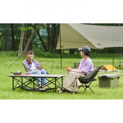 ふるさと納税 大河原町 キャンプチェア　ロータイプ CC-LOW カーキ アイリスオーヤマ[53750825] |  | 03