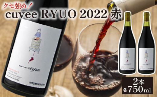 ワイン 2本 セット cuvee RYUO 2022 キュベリュウオウ 2本 セット 750ml × 2本 赤 ワイン ライト ボディ 辛口 マスカット ベリー ギフト 日本ワイン 酒  プレゼント 贈り物 ギフト ヒトミワイナリー お酒 地酒 果実酒 ぶどう酒 葡萄酒 滋賀 竜王町 送料無料