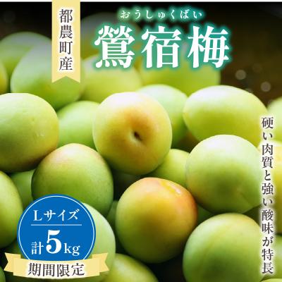 ふるさと納税 都農町 先行受付≪期間限定≫都農町産「鶯宿梅(Lサイズ)」計5kg 梅 梅干し 果物 国産_T008-014