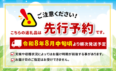 先行受付令和8年度産  シナノリップ（夏りんご）　5kg｜シナノリップ りんご 林檎 夏りんご 先行受付 甘い 果物 フルーツ【012-35】